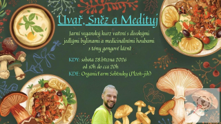 Uvař, sněz a medituj