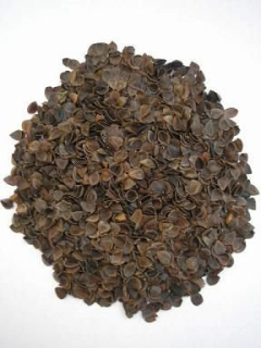 Pohankové slupky BIO > 1 kg